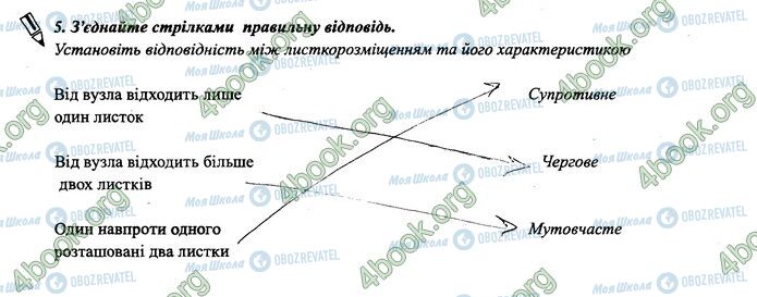 ГДЗ Біологія 6 клас сторінка 31-32.5